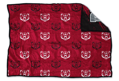 Bear River Bears