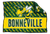 Bonneville Bees
