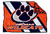 Delmar Wildcats
