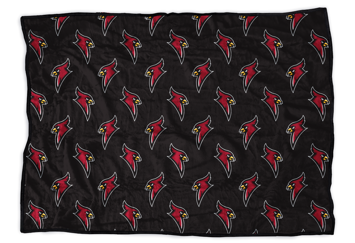 Dryden Cardinals