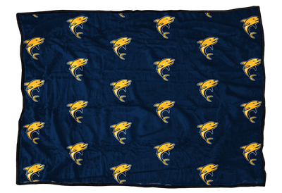 Gulf Breeze Dolphins