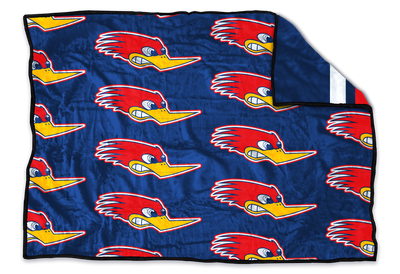 Holbrook Roadrunners