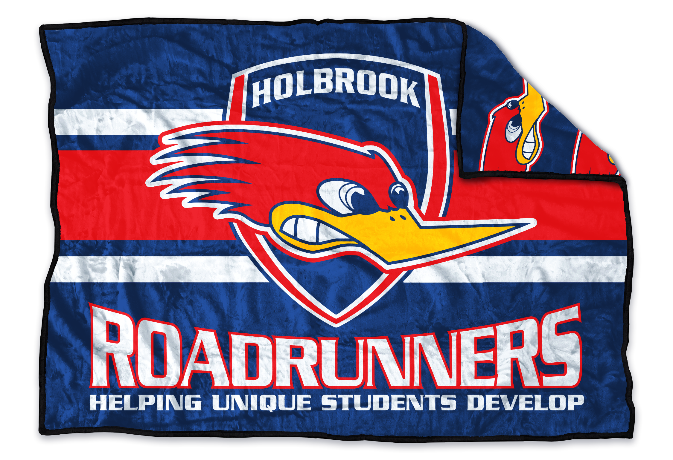 HolbrookRoadrunnerMockUp_F_225