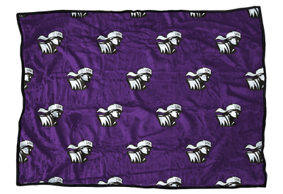 Lehi Pioneers