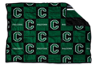 Clearfield Falcons