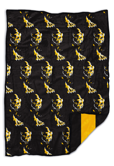 Newbury Park Panthers