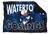 Watertown Goslings