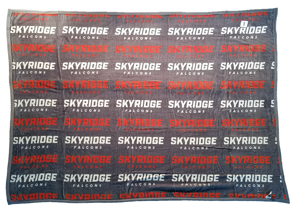 Skyridge Falcons B B10B1