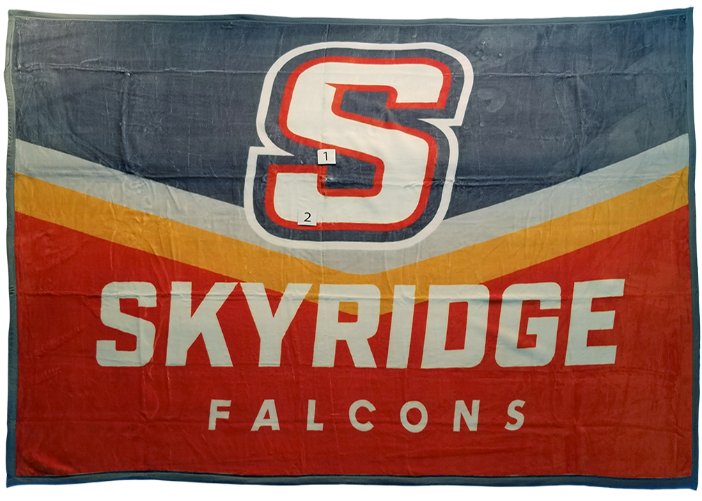Skyridge Falcons B B10B10