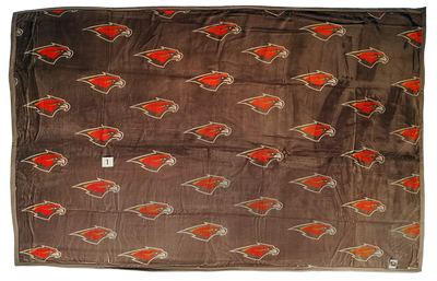 Skyridge Falcons B20B4