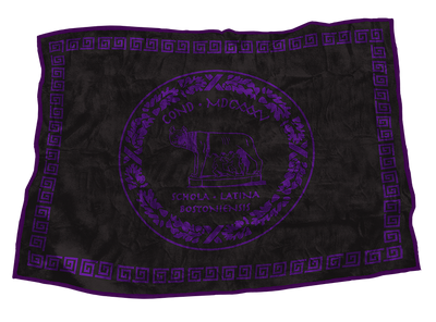 Boston Latin School 48" x 70"
