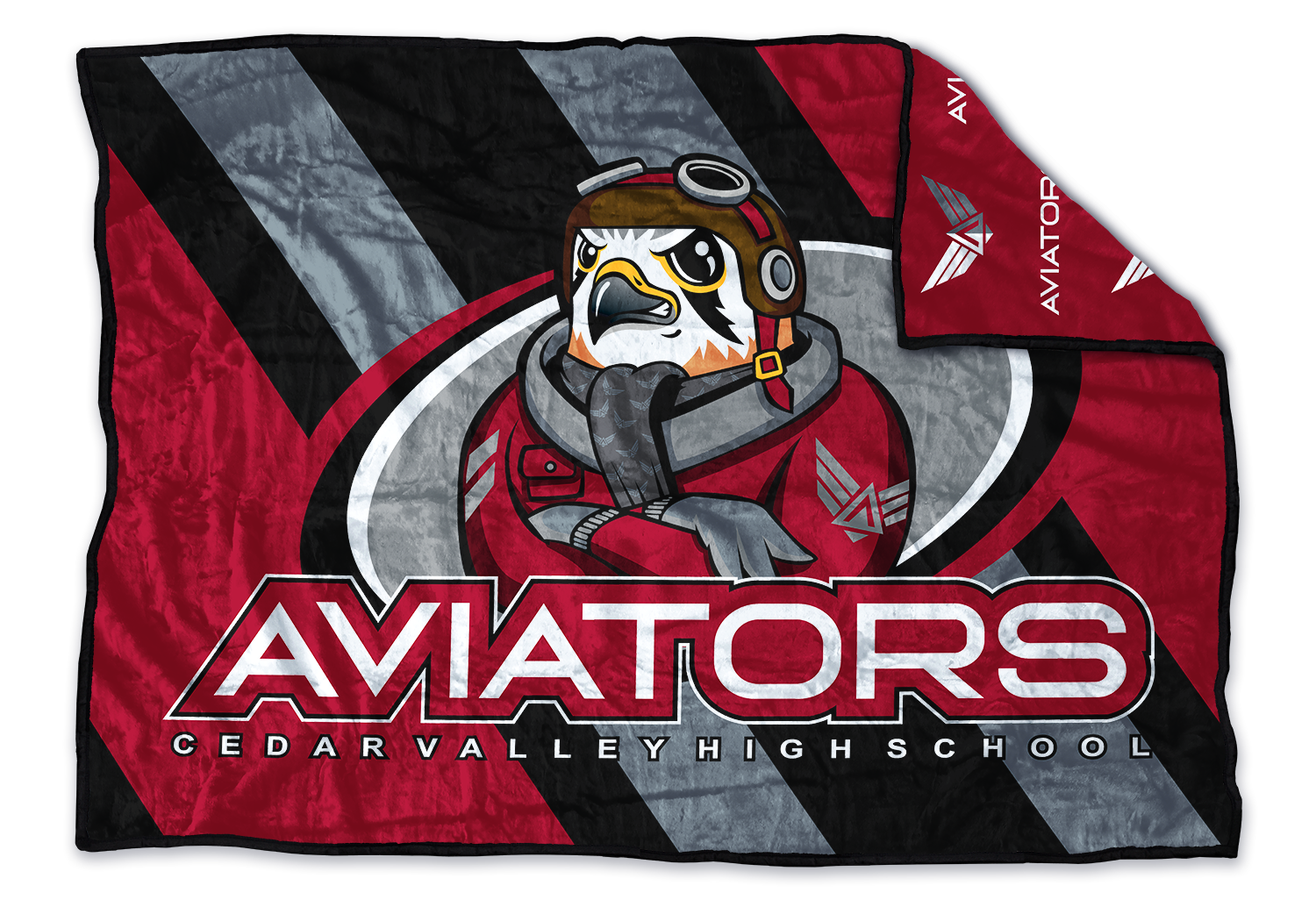 Cedar Valley Aviators