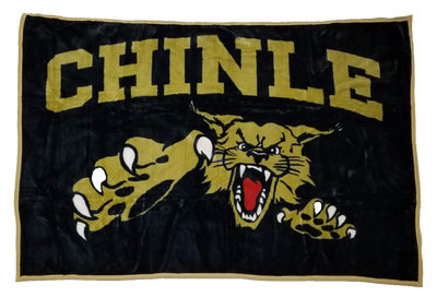 Chinle Wildcats 48" x 70"