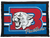 Bartlett Panthers
