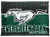 Evergreen Park Mustangs