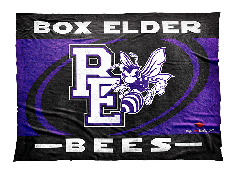 Box Elder Bees