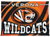 Verona Area Wildcats