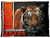 Wasatch Academy Tigers