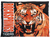 Rock Springs Tigers
