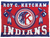 Roy C. Ketcham Indians