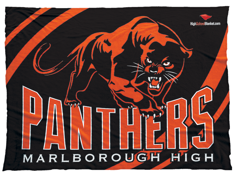 Marlborough Panthers
