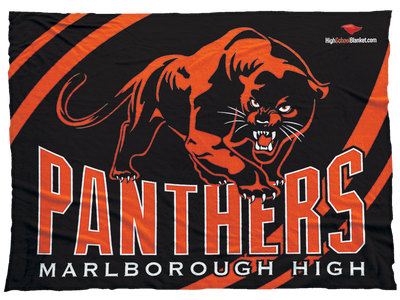Marlborough Panthers