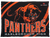 Marlborough Panthers