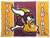 Valley Vikings (NM)