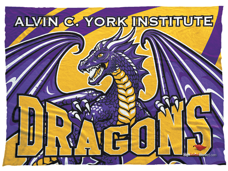Alvin C. York Institute Dragons