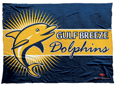 Gulf Breeze Dolphins