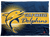 Gulf Breeze Dolphins