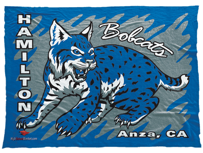 Hamilton Bobcats