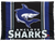 Anclote Sharks