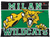 Milan Wildcats