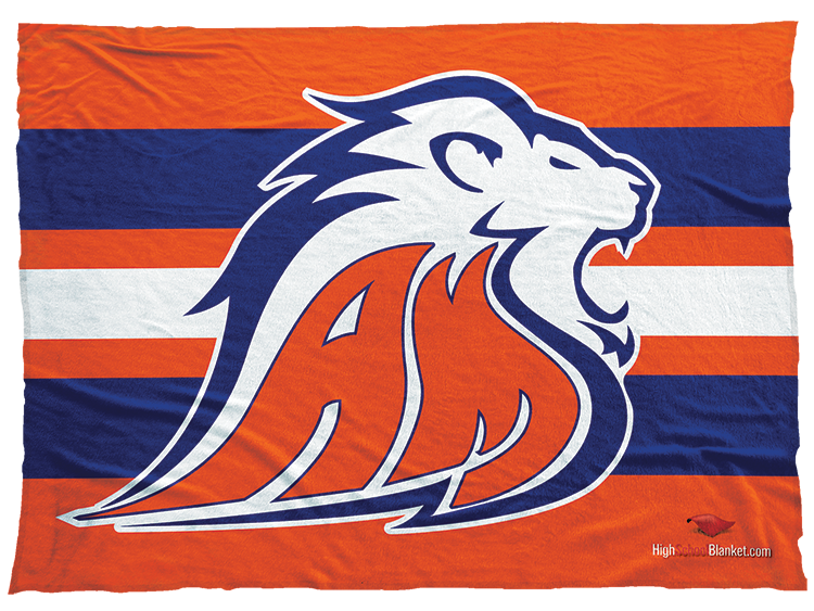 Auburn Mountain View Lions