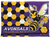 Avondale Yellow Jackets