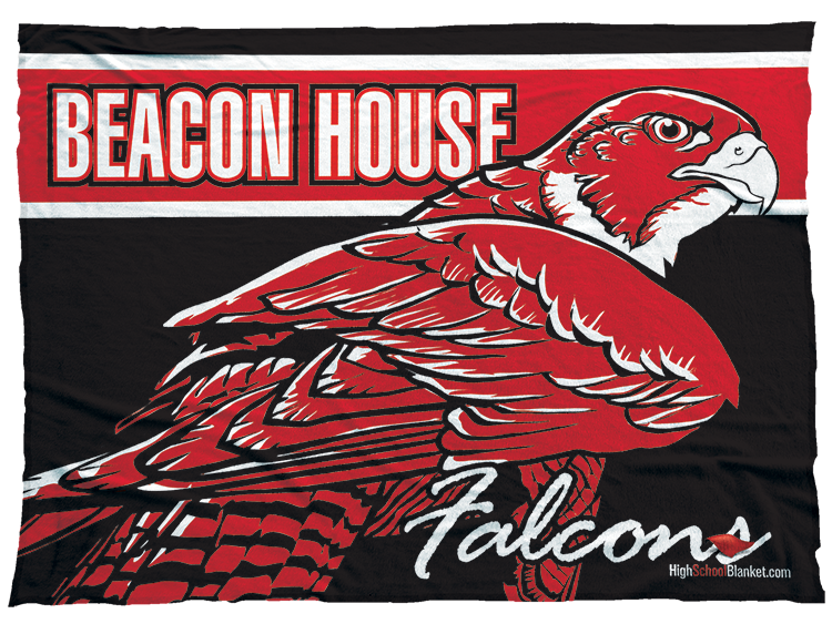 Beacon House Falcons