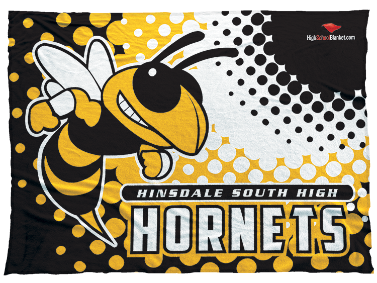 Hinsdale South Hornets