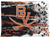 Bowie Volunteers