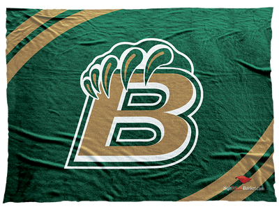 Bryan Bears