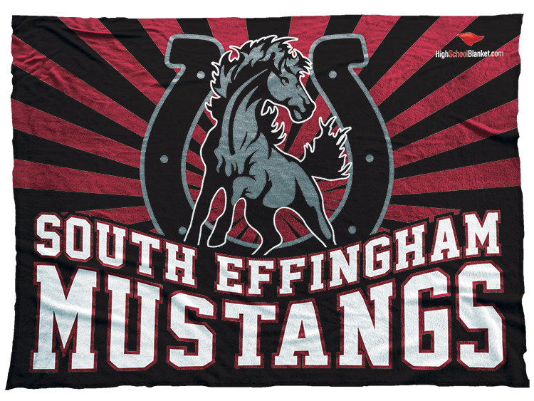 South Effingham Mustangs