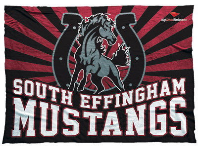 South Effingham Mustangs