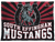 South Effingham Mustangs