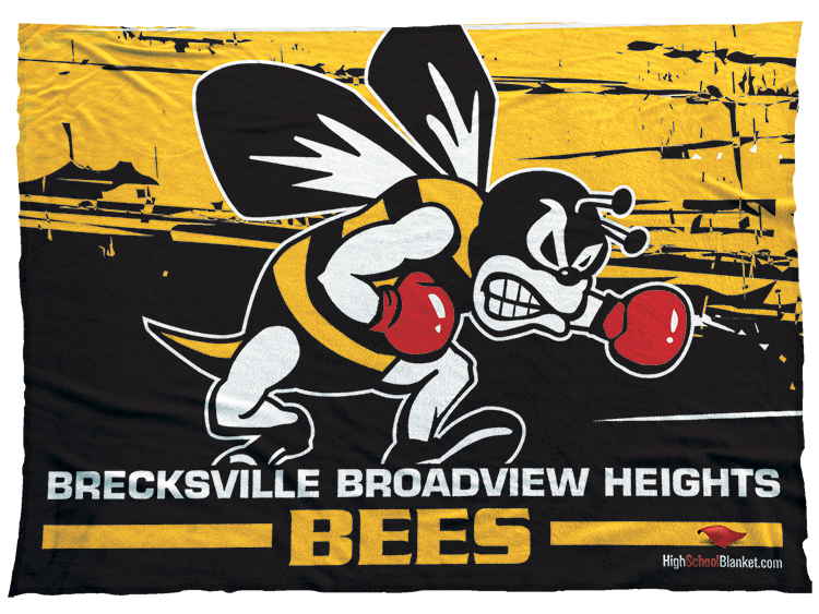 Brecksville Broadview Heights Bees