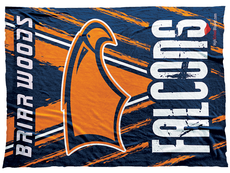 Briar Woods Falcons