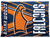 Briar Woods Falcons