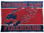Southern Nash Firebirds