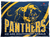 Southwest DeKalb Panthers