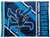 Kingwood Mustangs