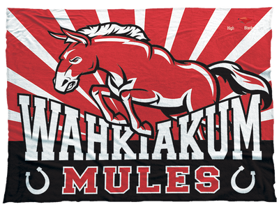 Wahkiakum Mules